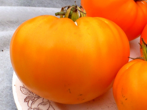 Крупный желтый томат на тарелке
